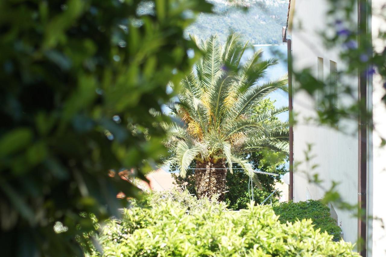 Oasis Blue Apartment Đảo Korčula Ngoại thất bức ảnh